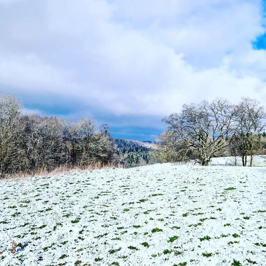 Calme Et Chaleureux Gite De Campagne. Voiteur Kültér fotó